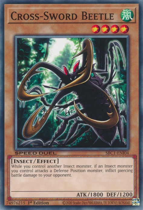 card image