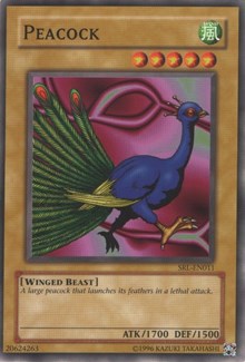 card image