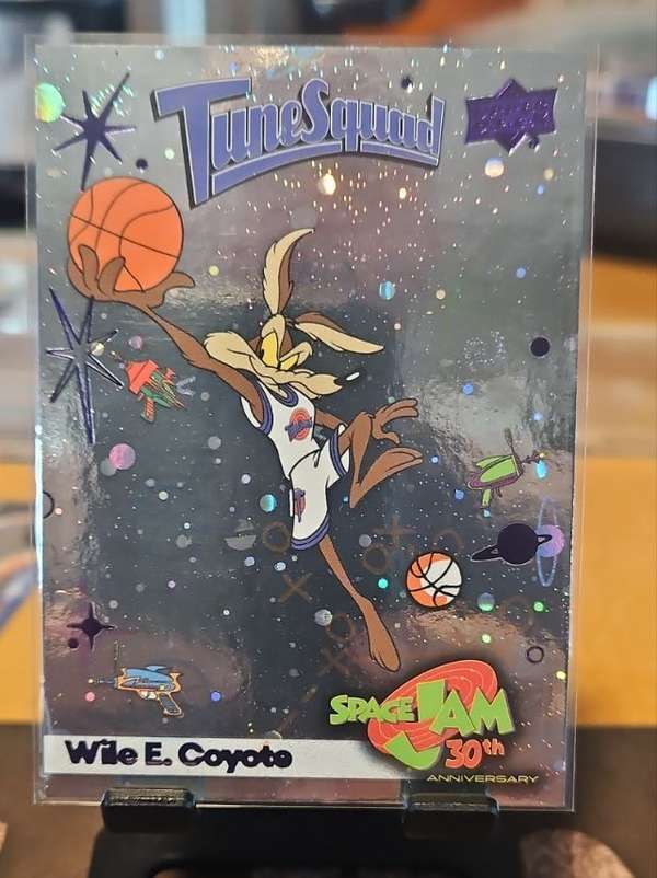 Wile E. Coyote