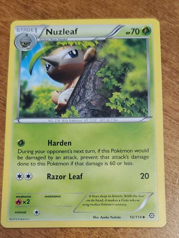 Nuzleaf