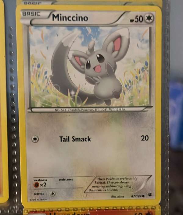 Minccino (87)