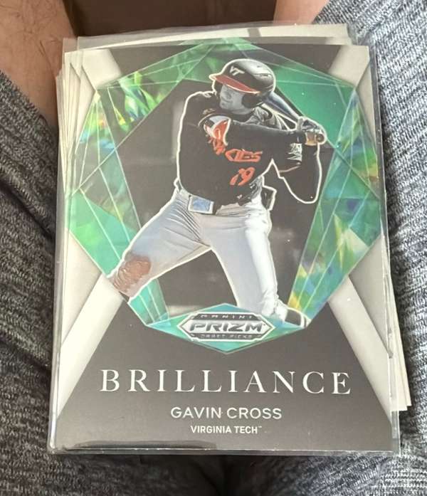 Gavin Cross