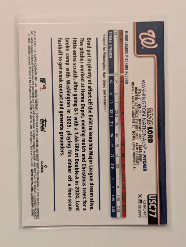 Card back