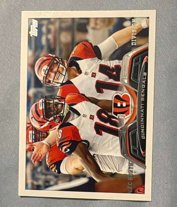 Cincinnati Bengals