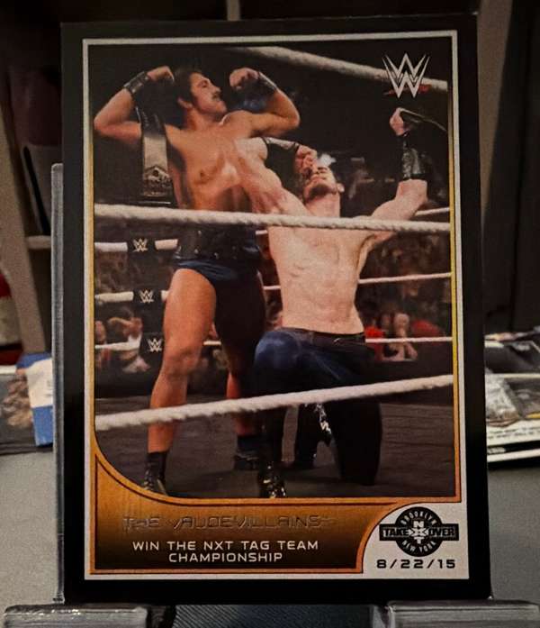 The Vaudevillains