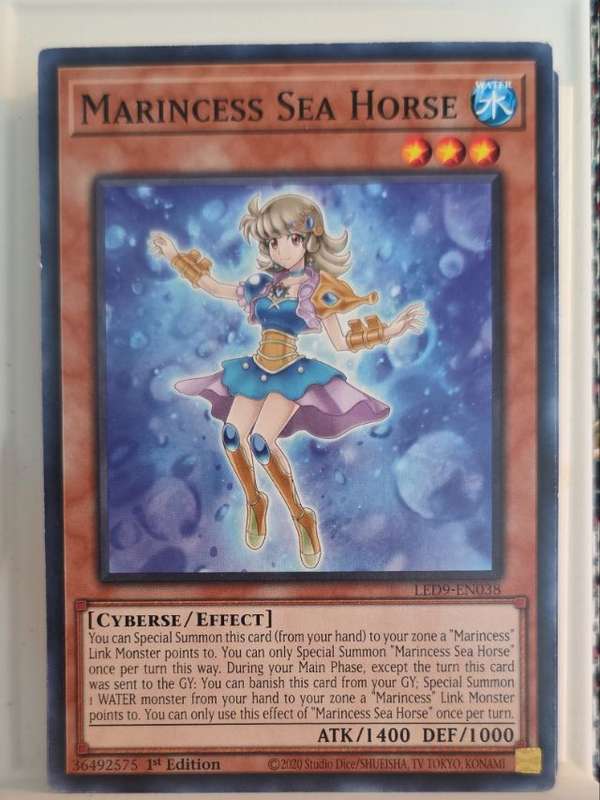 Marincess Sea Horse