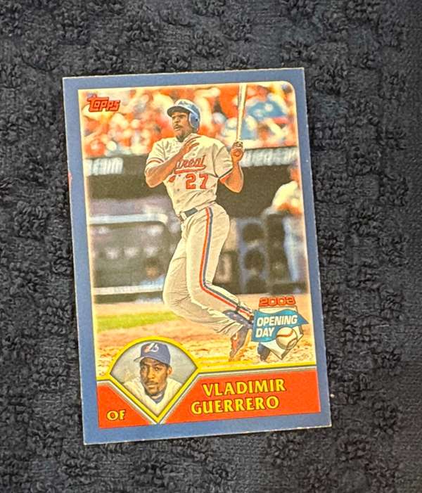Vladimir Guerrero