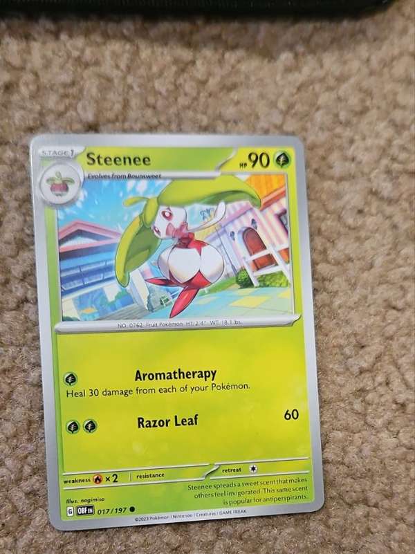 Steenee