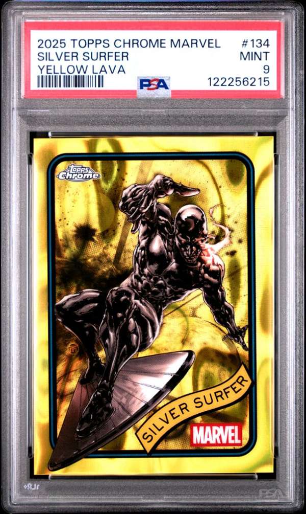 Silver Surfer