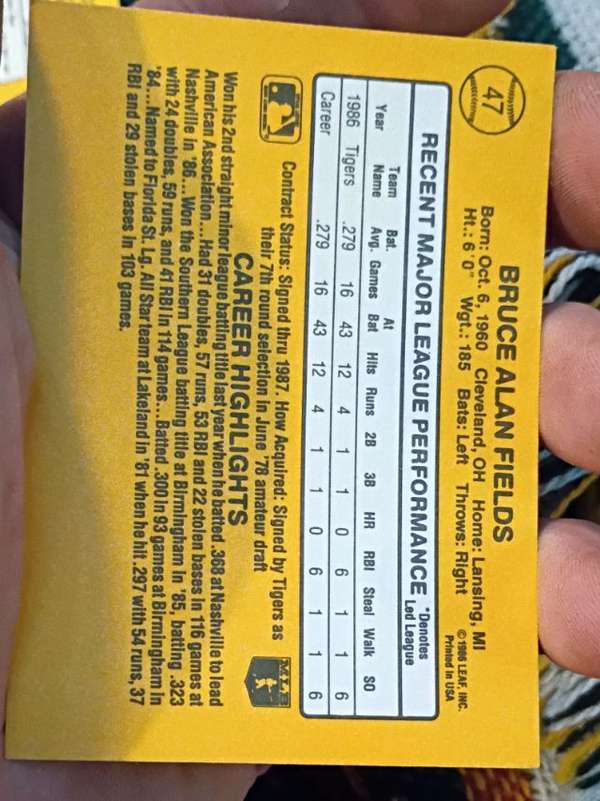 Card back