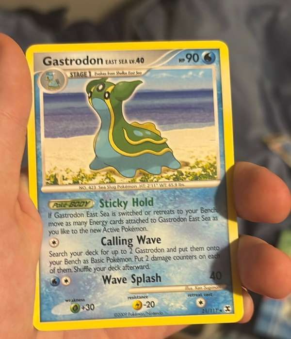 Gastrodon East Sea