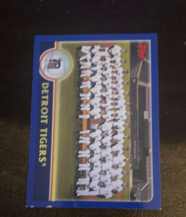Detroit Tigers