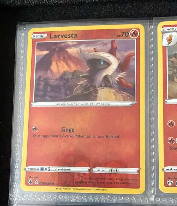 Larvesta