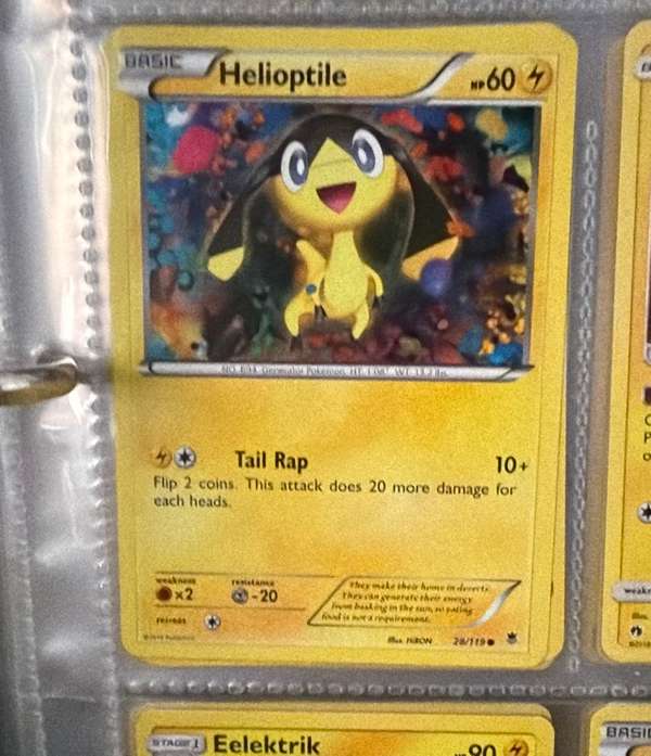 Helioptile (28)