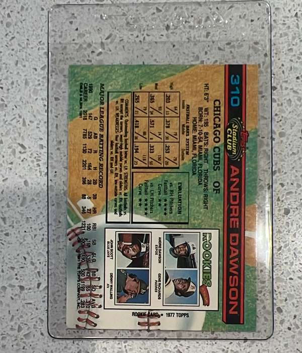 Card back