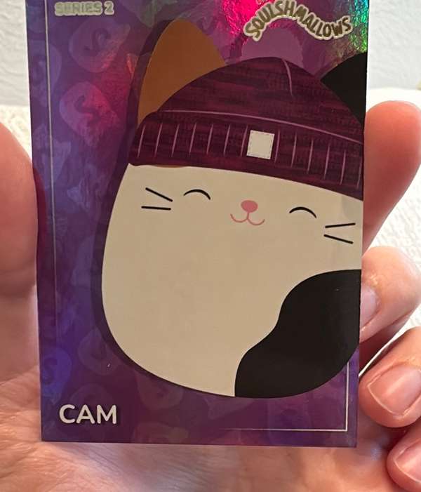 #16 Cam