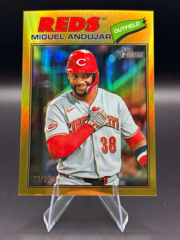 #259 Miguel Andujar
