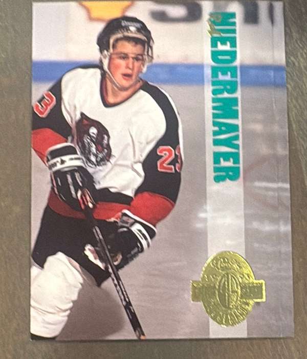 Rob Niedermayer