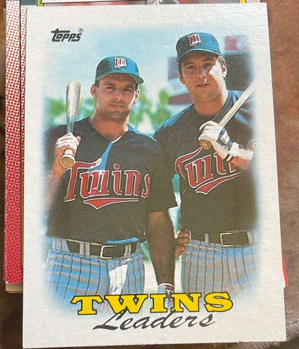 Twins Leaders