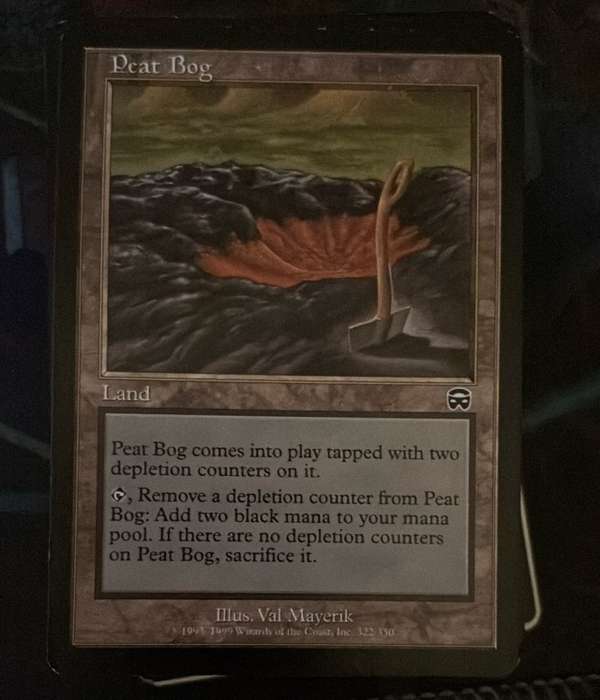 Peat Bog