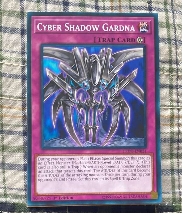 Cyber Shadow Gardna