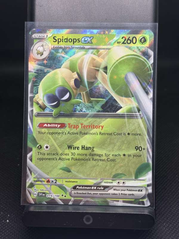 Spidops ex