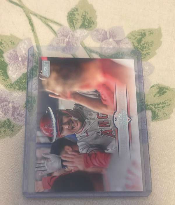 Mike Trout