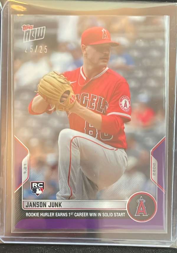 #602 Janson Junk