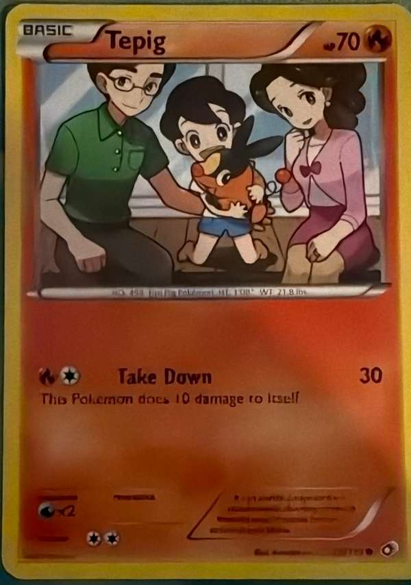 Tepig