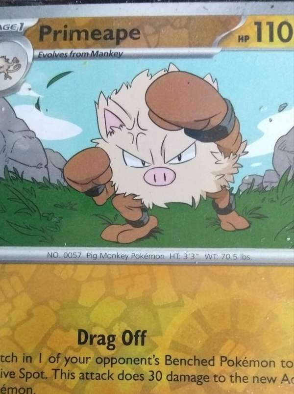 Primeape