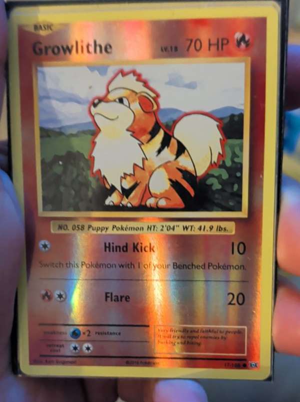 Growlithe