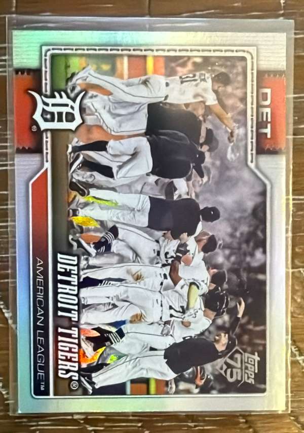 Detroit Tigers