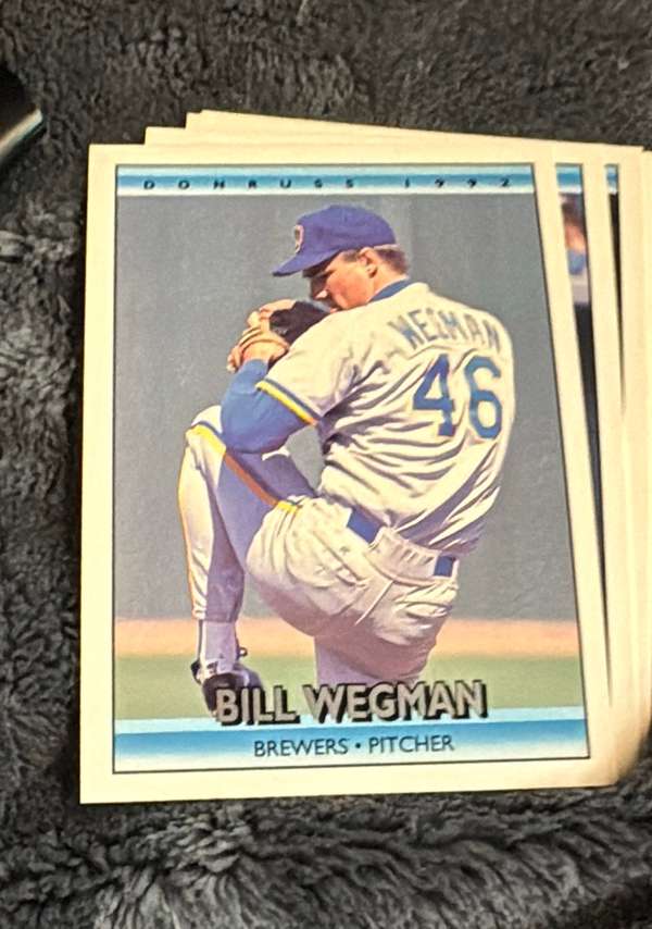 Bill Wegman