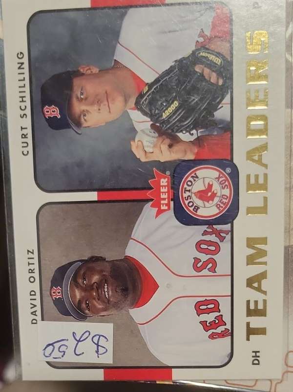 David Ortiz / Curt Schilling