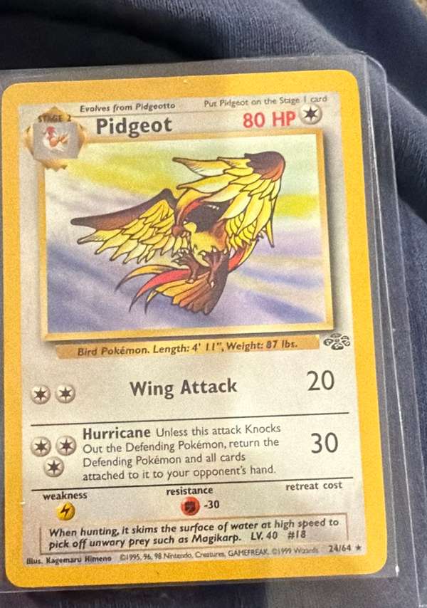 #246/64 Pidgeot