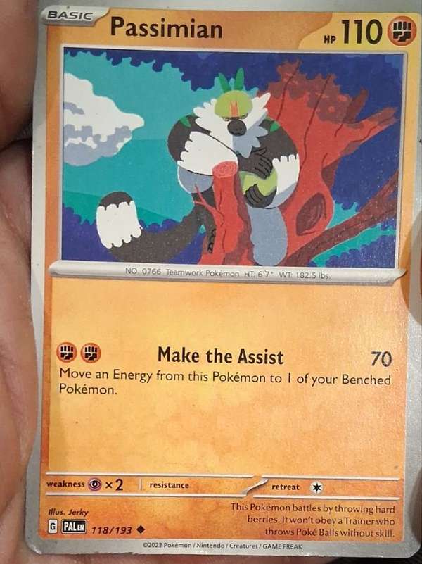 Passimian