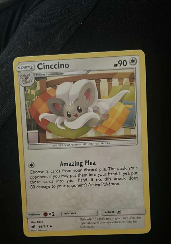 Cinccino