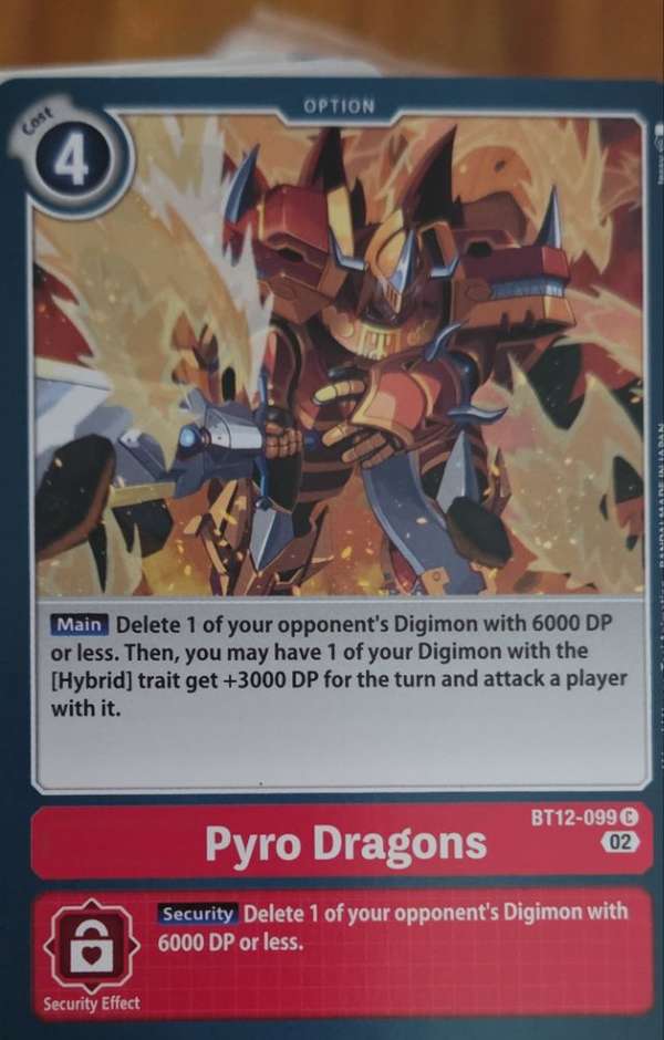 Pyro Dragons