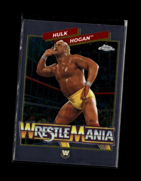 Hulk Hogan
