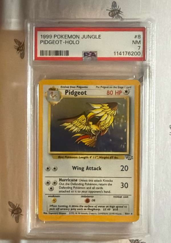 #08/64 Pidgeot (8)