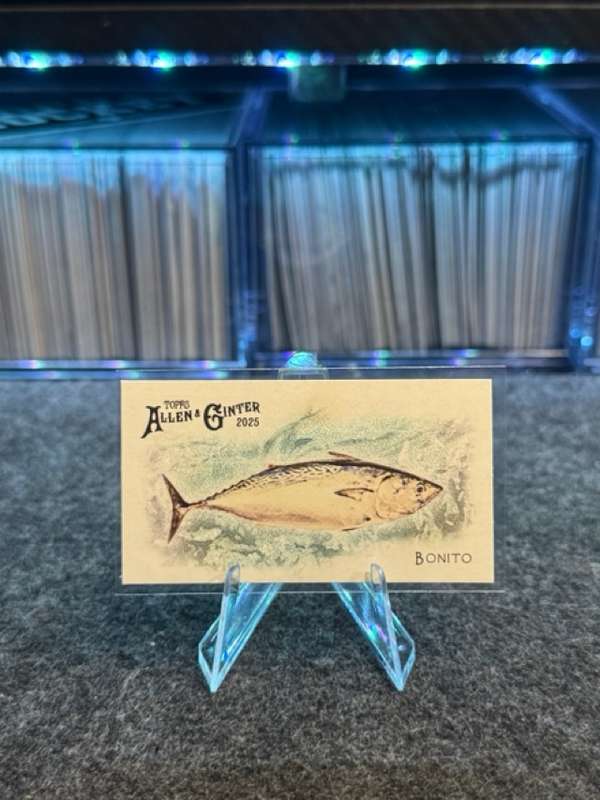 Bonito