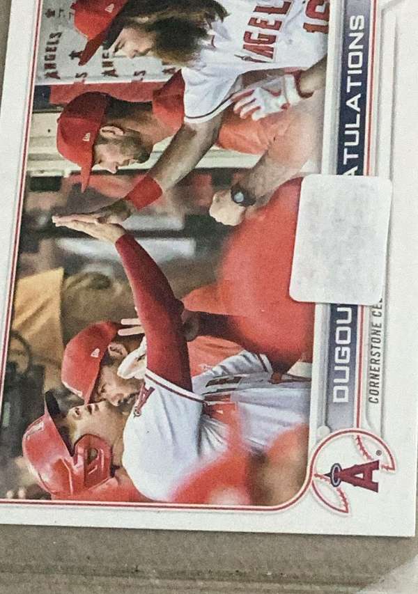 Dugout Congratulations