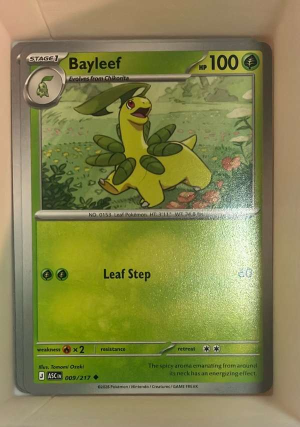 Bayleef