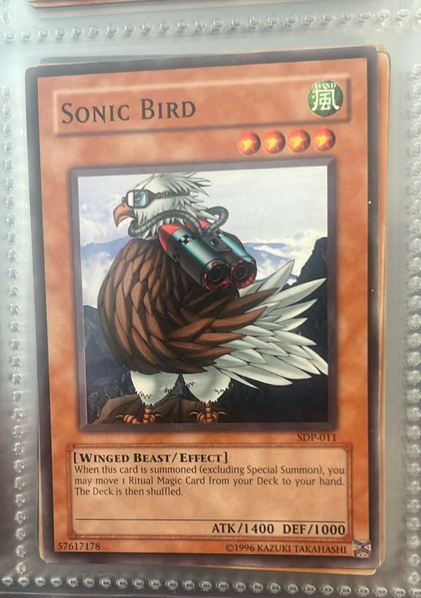 Sonic Bird