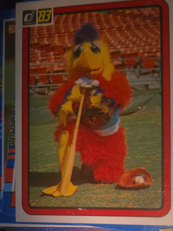 The Chicken