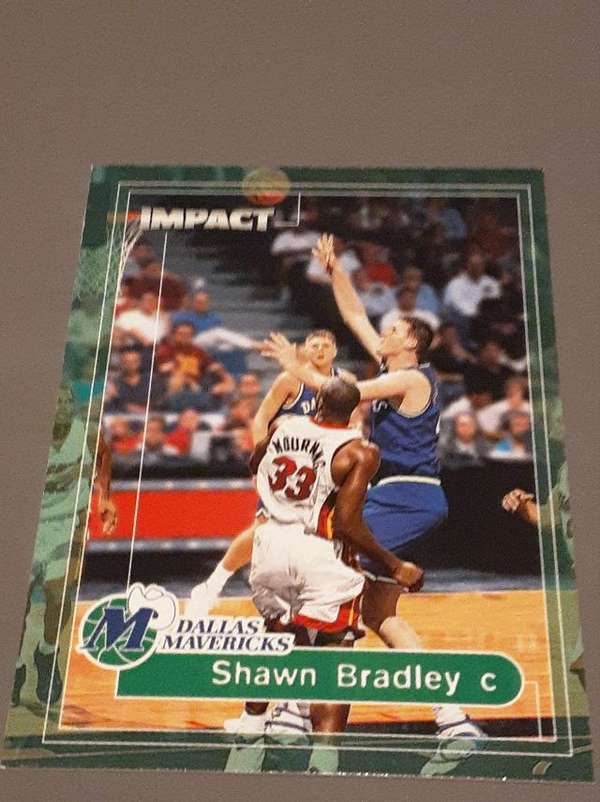 Shawn Bradley