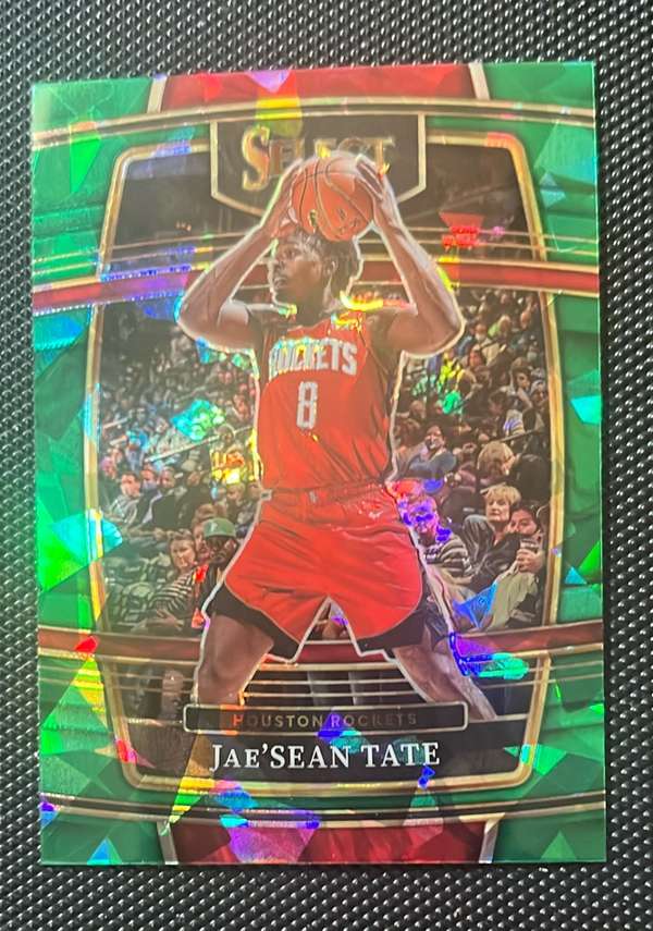 Jae'Sean Tate