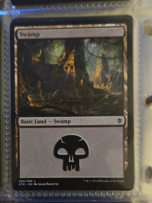 Swamp (260)