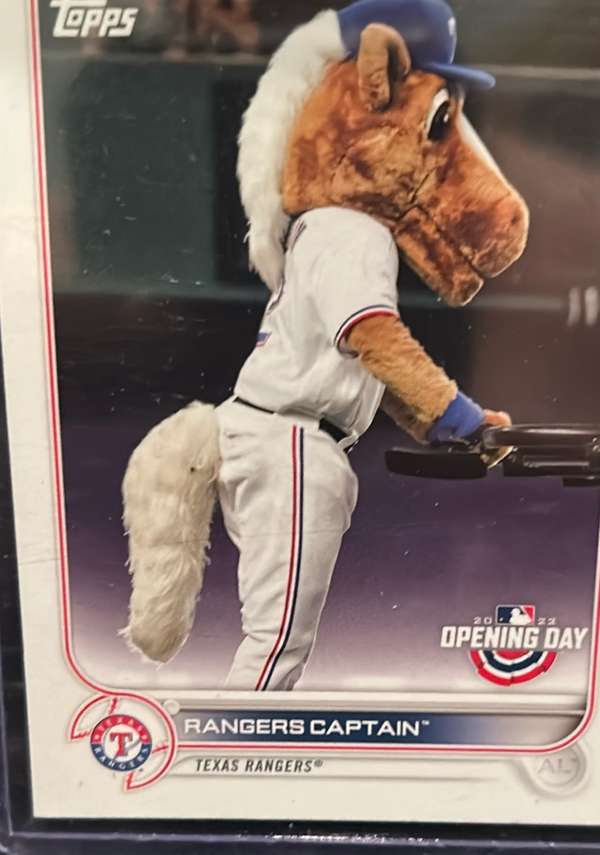 Rangers Captain