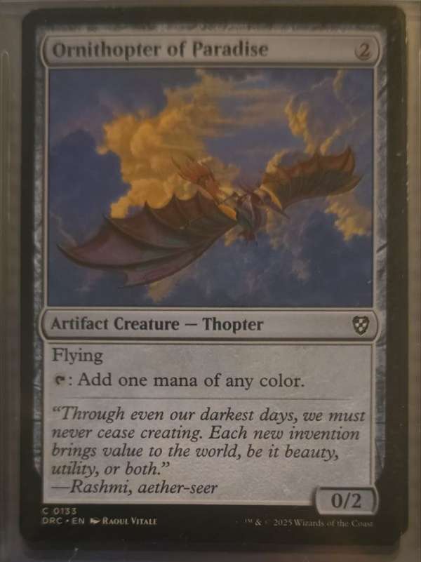 Ornithopter of Paradise
